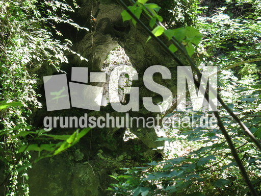 Schweiz Biel Taubenlochschlucht 007.JPG
